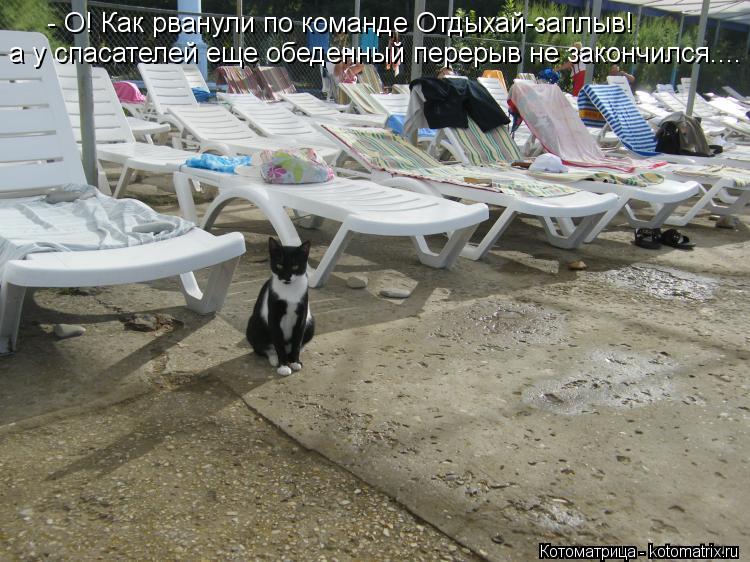 - О! Как рванули по команде Отдыхай-заплыв! а у спасателей еще обеденный перерыв не закончился....... Котоматрица: - О! Как рванули по команде Отдыхай-заплыв! а у спасателей еще обеденный перерыв не закончился....