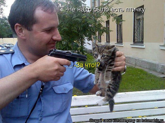 -За что!? -Не надо было есть птичку... Котоматрица: -За что!? -Не надо было есть птичку