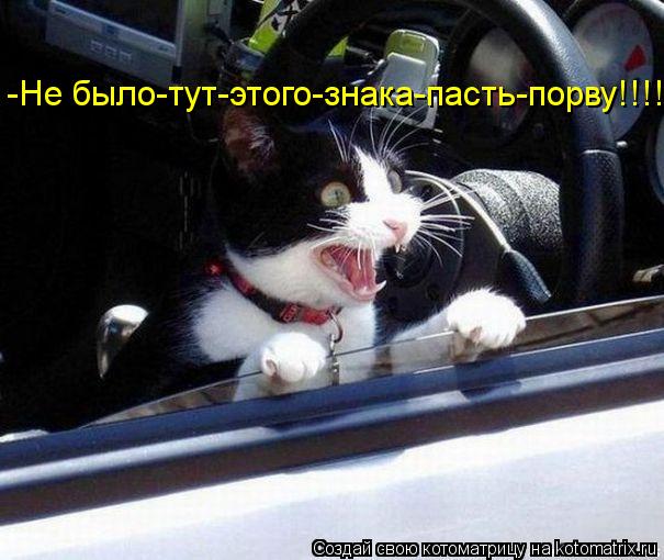 -Не было-тут-этого-знака-пасть-порву!!!!!... Котоматрица: -Не было-тут-этого-знака-пасть-порву!!!!!