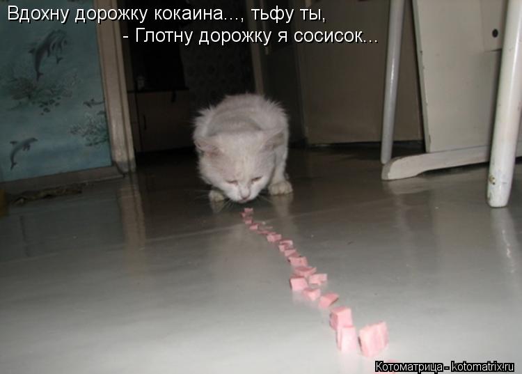 Вдохну дорожку кокаина..., тьфу ты, Вдохну дорожку кокаина..., тьфу ты, - Глотну дорожку я сосисок...... Котоматрица: Вдохну дорожку кокаина..., тьфу ты, Вдохну дорожку кокаина..., тьфу ты, - Глотну дорожку я сосисок...