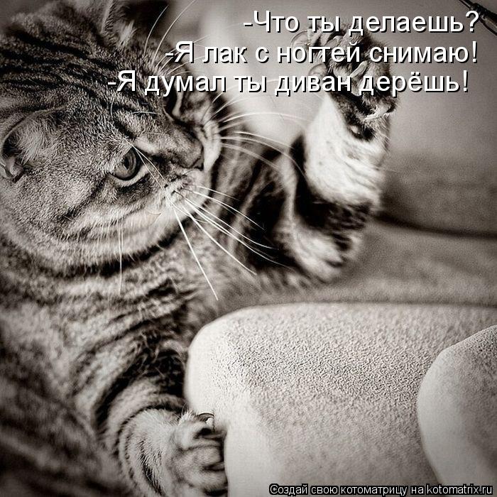 -Что ты делаешь? -Я лак с ногтей снимаю! -Я думал ты диван дерёшь!... Котоматрица: -Что ты делаешь? -Я лак с ногтей снимаю! -Я думал ты диван дерёшь!