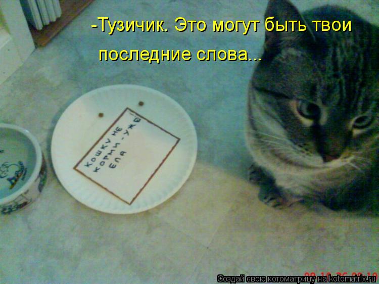 -Тузичик. Это могут быть твои последние слова...... Котоматрица: -Тузичик. Это могут быть твои последние слова...
