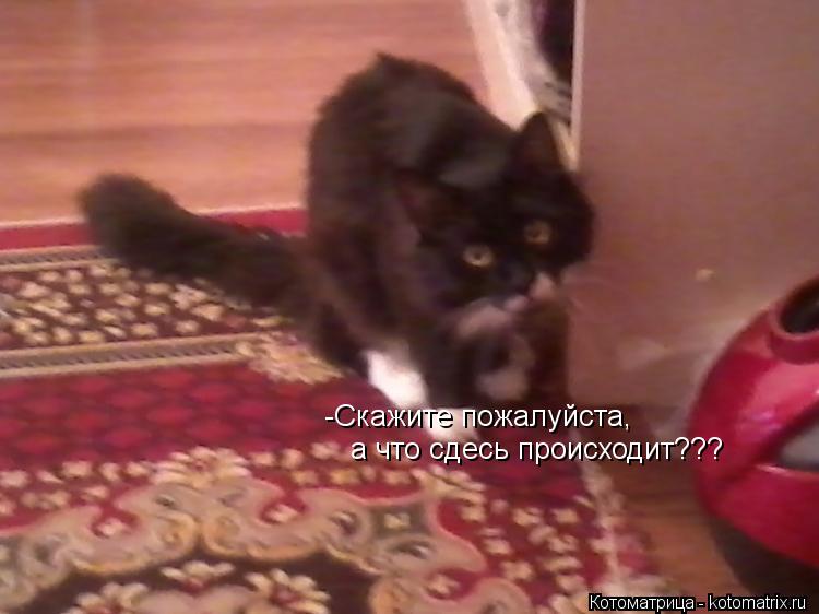 -Скажите пожалуйста, а что сдесь происходит???... Котоматрица: -Скажите пожалуйста, а что сдесь происходит???