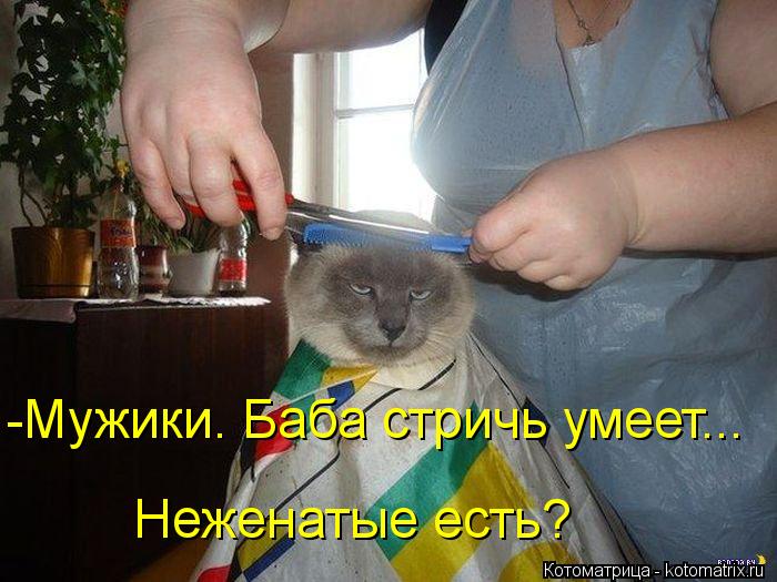 Неженатые есть? -Мужики. Баба стричь умеет...... Котоматрица: Неженатые есть? -Мужики. Баба стричь умеет...