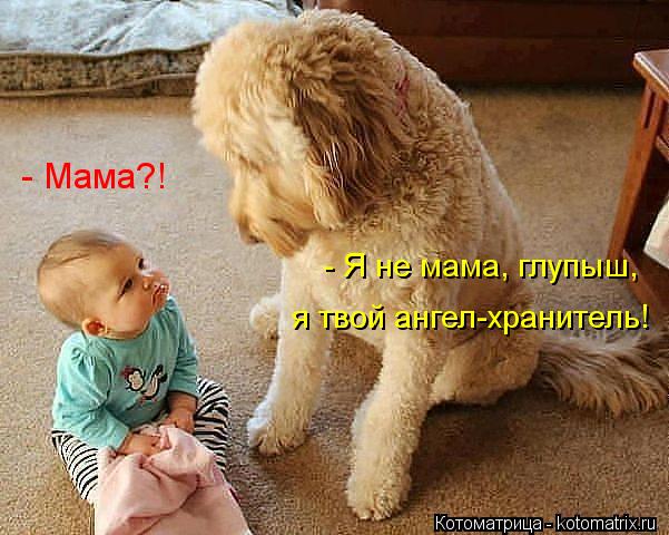 - Мама?! - Я не мама, глупыш, я твой ангел-хранитель!... Котоматрица: - Мама?! - Я не мама, глупыш, я твой ангел-хранитель!