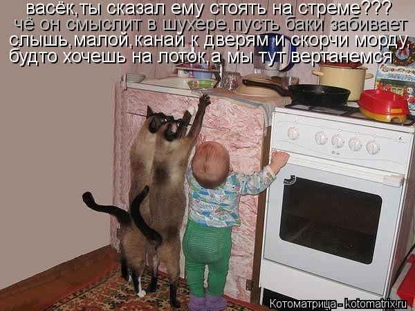 васёк,ты сказал ему стоять на стреме??? чё он смыслит в шухере,пусть баки забивает слышь,малой,канай ... Котоматрица: васёк,ты сказал ему стоять на стреме??? чё он смыслит в шухере,пусть баки забивает слышь,малой,канай к дверям и скорчи морду, будто хочешь на