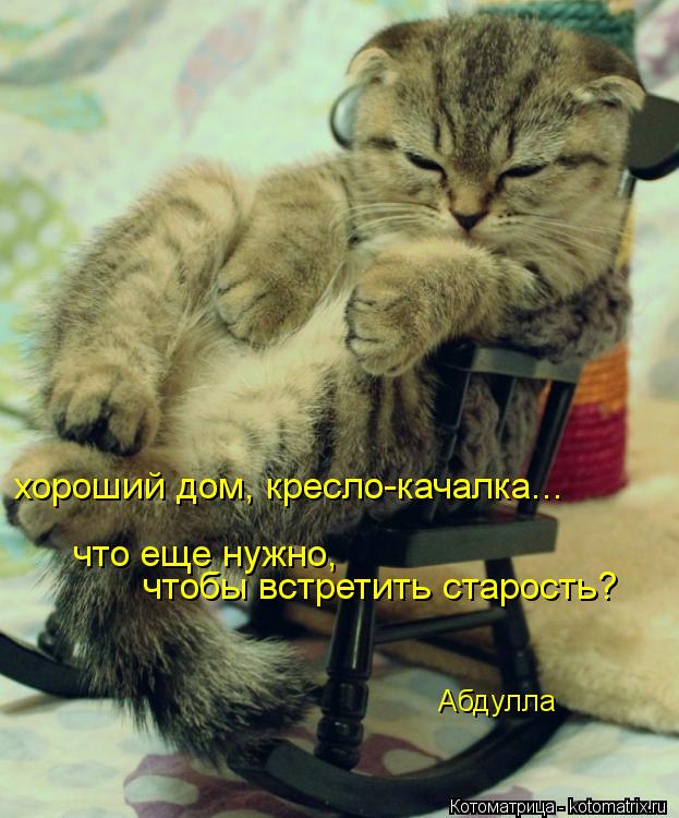 хороший дом, кресло-качалка... что еще нужно, чтобы встретить старость? Абдулла... Котоматрица: хороший дом, кресло-качалка... что еще нужно, чтобы встретить старость? Абдулла