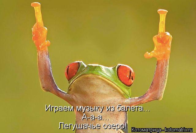 Играем музыку из балета... А-а-а... Легушачье озеро!... Котоматрица: Играем музыку из балета... А-а-а... Легушачье озеро!