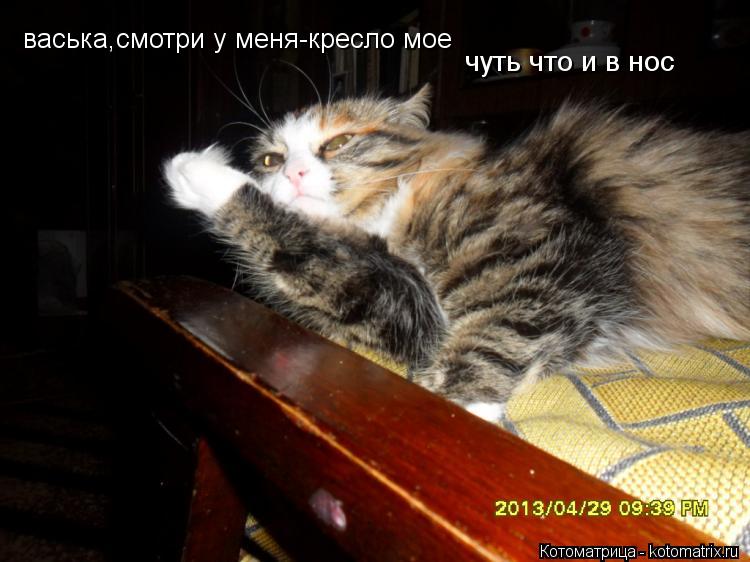 васька,смотри у меня-кресло мое чуть что и в нос... Котоматрица: васька,смотри у меня-кресло мое чуть что и в нос