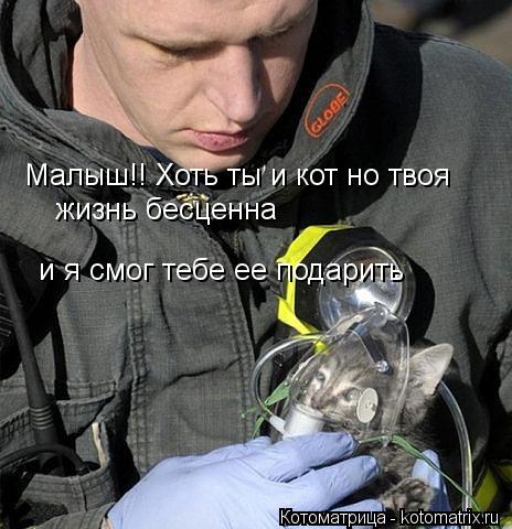 Малыш!! Хоть ты и кот но твоя жизнь бесценна и я смог тебе ее подарить... Котоматрица: Малыш!! Хоть ты и кот но твоя жизнь бесценна и я смог тебе ее подарить