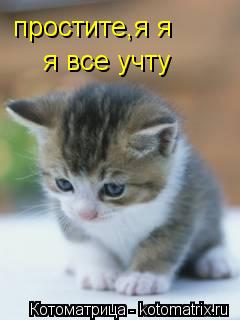 простите,я я я все учту... Котоматрица: простите,я я я все учту