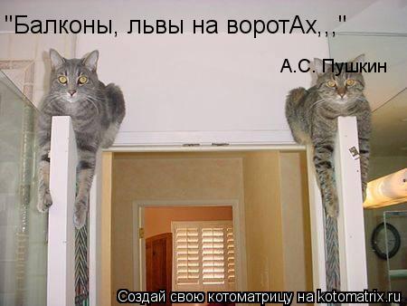 "Балконы, львы на воротАх,,," А.С. Пушкин... Котоматрица: "Балконы, львы на воротАх,,," А.С. Пушкин