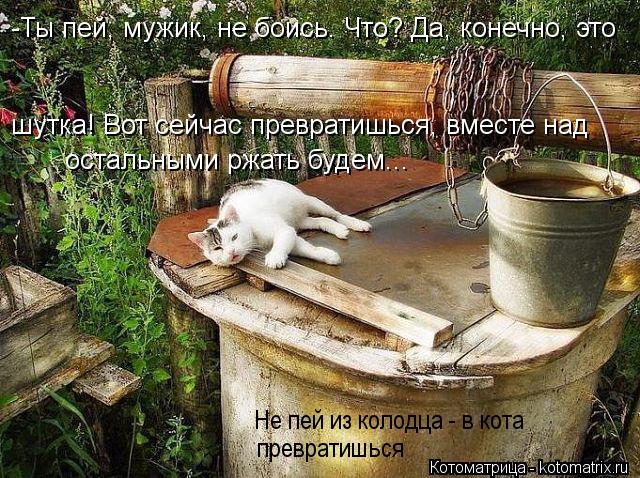 Не пей из колодца - в кота превратишься -Ты пей, мужик, не боись. Что? Да, конечно, это шутка! Вот с... Котоматрица: Не пей из колодца - в кота превратишься -Ты пей, мужик, не боись. Что? Да, конечно, это шутка! Вот сейчас превратишься, вместе над остальными рж