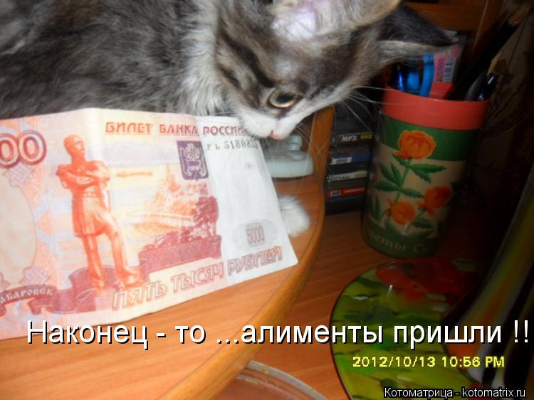Наконец - то ...алименты пришли !!!... Котоматрица: Наконец - то ...алименты пришли !!!