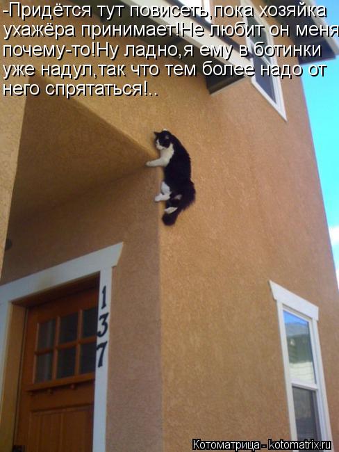 -Придётся тут повисеть,пока хозяйка ухажёра принимает!Не любит он меня почему-то!Ну ладно,я ему в бот... Котоматрица: -Придётся тут повисеть,пока хозяйка ухажёра принимает!Не любит он меня почему-то!Ну ладно,я ему в ботинки уже надул,так что тем более надо от