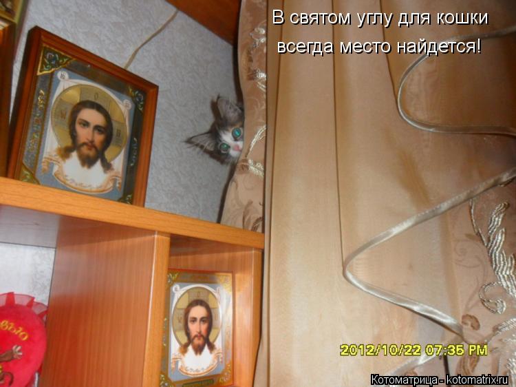 В святом углу для кошки всегда место найдется!... Котоматрица: В святом углу для кошки всегда место найдется!