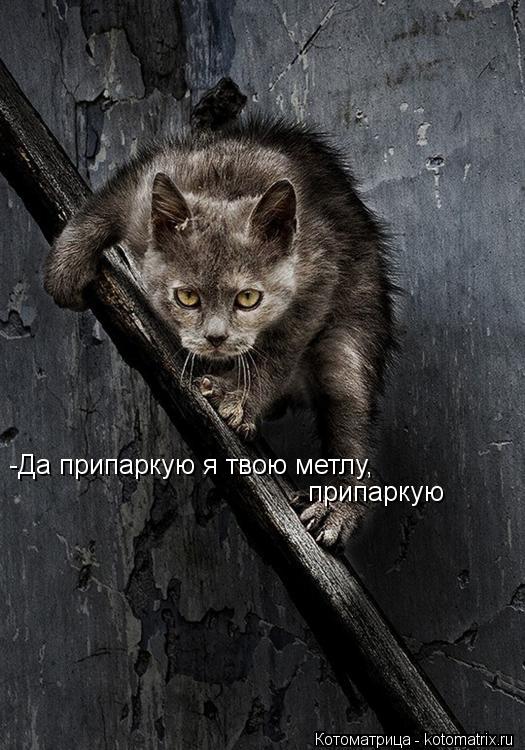 -Да припаркую я твою метлу, -Да припаркую я твою метлу, припаркую... Котоматрица: -Да припаркую я твою метлу, -Да припаркую я твою метлу, припаркую