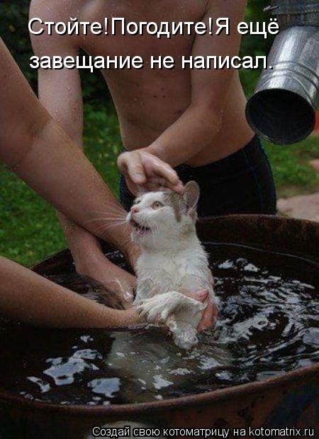 Стойте!Погодите!Я ещё завещание не написал.... Котоматрица: Стойте!Погодите!Я ещё завещание не написал.