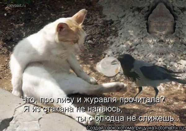 Что, про лису и журавля прочитала? Я из стакана не напьюсь, ты с блюдца не слижешь...... Котоматрица: Что, про лису и журавля прочитала? Я из стакана не напьюсь, ты с блюдца не слижешь...