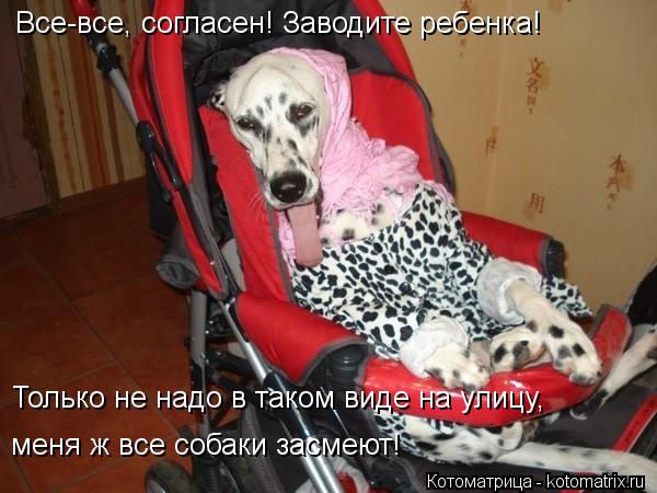 Все-все, согласен! Заводите ребенка! Только не надо в таком виде на улицу, меня ж все собаки засмеют!... Котоматрица: Все-все, согласен! Заводите ребенка! Только не надо в таком виде на улицу, меня ж все собаки засмеют!