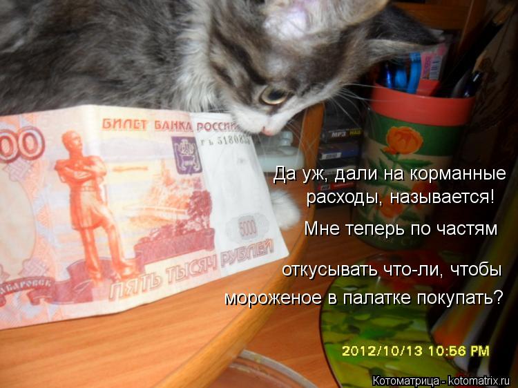 Да уж, дали на корманные расходы, называется! Мне теперь по частям откусывать что-ли, чтобы мороженое... Котоматрица: Да уж, дали на корманные расходы, называется! Мне теперь по частям откусывать что-ли, чтобы мороженое в палатке покупать?
