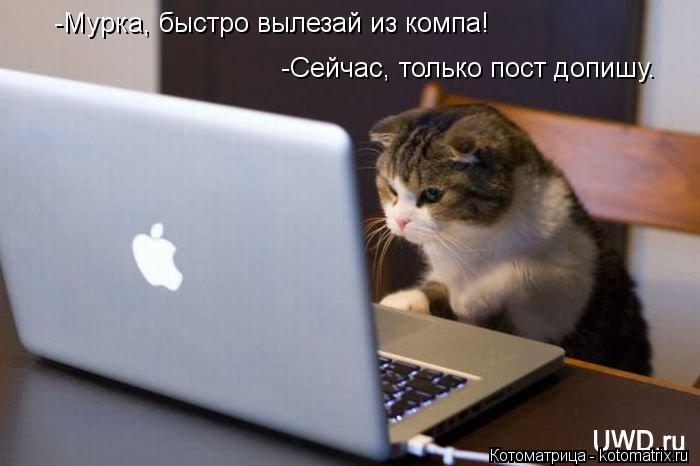 -Мурка, быстро вылезай из компа! -Сейчас, только пост допишу.... Котоматрица: -Мурка, быстро вылезай из компа! -Сейчас, только пост допишу.