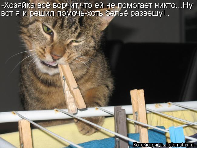 -Хозяйка всё ворчит,что ей не помогает никто...Ну вот я и решил помочь-хоть бельё развешу!..... Котоматрица: -Хозяйка всё ворчит,что ей не помогает никто...Ну вот я и решил помочь-хоть бельё развешу!..
