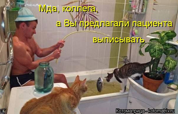Мда, коллега, а Вы предлагали пациента выписывать... Котоматрица: Мда, коллега, а Вы предлагали пациента выписывать