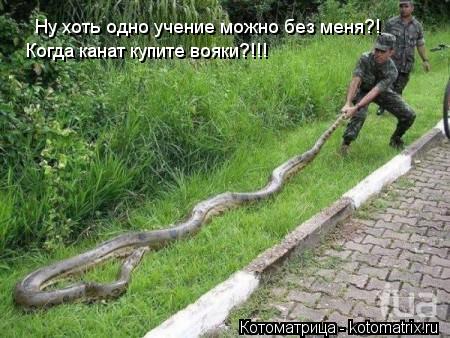 Ну хоть одно учение можно без меня?! Когда канат купите вояки?!!!... Котоматрица: Ну хоть одно учение можно без меня?! Когда канат купите вояки?!!!