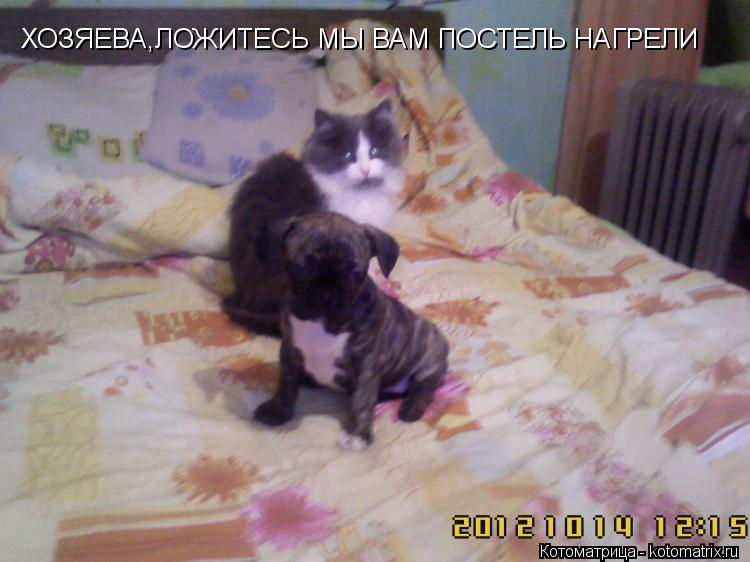 ХОЗЯЕВА,ЛОЖИТЕСЬ МЫ ВАМ ПОСТЕЛЬ НАГРЕЛИ... Котоматрица: ХОЗЯЕВА,ЛОЖИТЕСЬ МЫ ВАМ ПОСТЕЛЬ НАГРЕЛИ