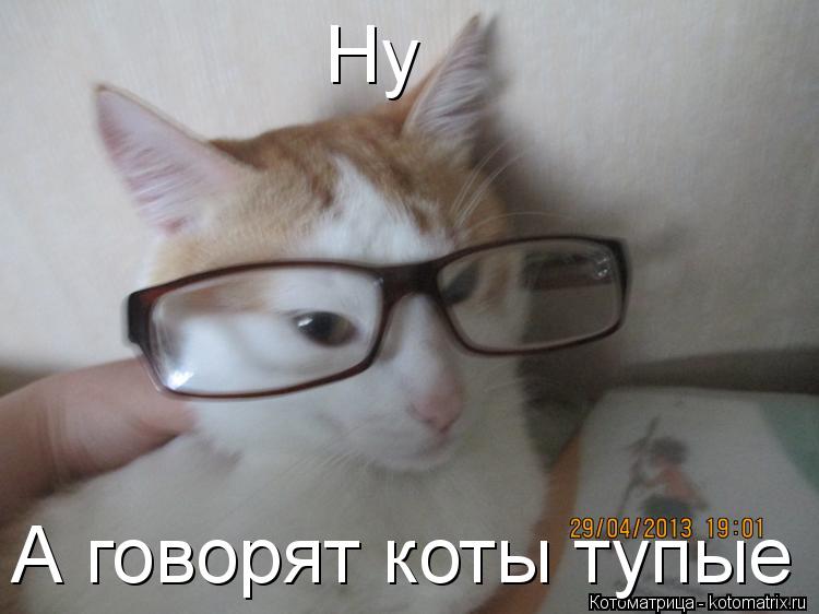 А говорят коты тупые Ну... Котоматрица: А говорят коты тупые Ну