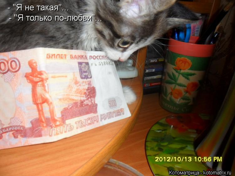 - "Я не такая"... - "Я только по-любви"...... Котоматрица: - "Я не такая"... - "Я только по-любви"...