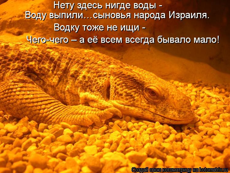 Нету здесь нигде воды - Воду выпили…сыновья народа Израиля. Водку тоже не ищи - Чего-чего – а её всем... Котоматрица: Нету здесь нигде воды - Воду выпили…сыновья народа Израиля. Водку тоже не ищи - Чего-чего – а её всем всегда бывало мало!