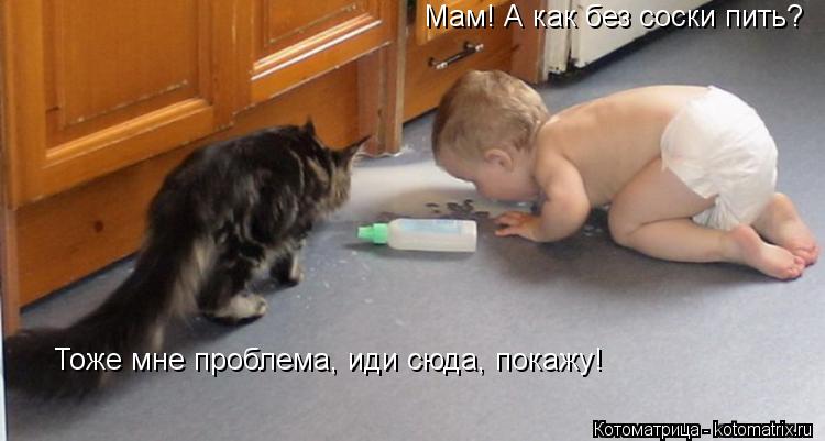 Мам! А как без соски пить? Тоже мне проблема, иди сюда, покажу!... Котоматрица: Мам! А как без соски пить? Тоже мне проблема, иди сюда, покажу!