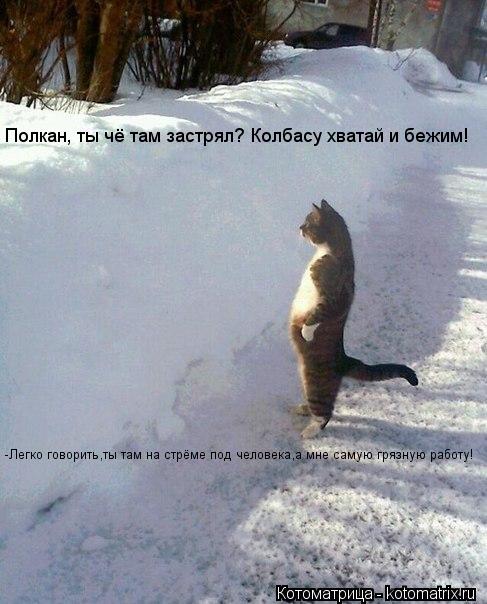 Полкан, ты чё там застрял? Колбасу хватай и бежим! -Легко говорить,ты там на стрёме под человека,а мн... Котоматрица: Полкан, ты чё там застрял? Колбасу хватай и бежим! -Легко говорить,ты там на стрёме под человека,а мне самую грязную работу!