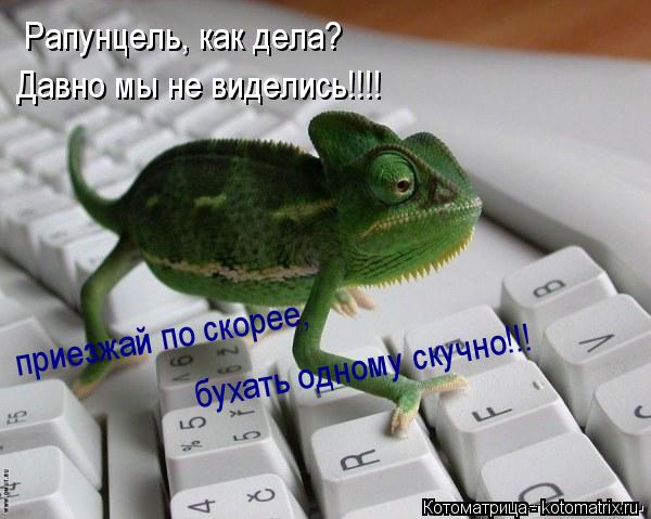 Рапунцель, как дела? Давно мы не виделись!!!! приезжай по скорее, бухать одному скучно!!!... Котоматрица: Рапунцель, как дела? Давно мы не виделись!!!! приезжай по скорее, бухать одному скучно!!!