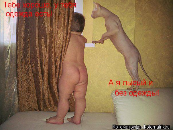 Тебе хорошо, у тебя одежда есть! А я лысый и без одежды!... Котоматрица: Тебе хорошо, у тебя одежда есть! А я лысый и без одежды!
