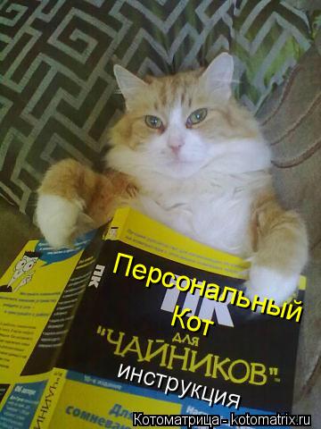 Персональный Кот инструкция... Котоматрица: Персональный Кот инструкция