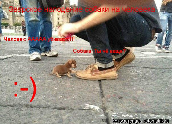 Зверское наподение собаки на человека Человек: ААААА убивают!!!! Собака: Ты чё ваще? :-)... Котоматрица: Зверское наподение собаки на человека Человек: ААААА убивают!!!! Собака: Ты чё ваще? :-)