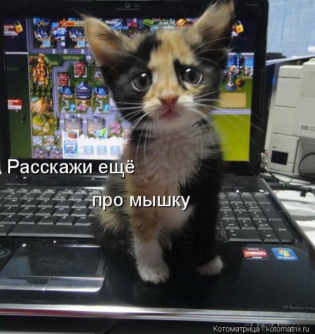 Расскажи ещё про мышку... Котоматрица: Расскажи ещё про мышку