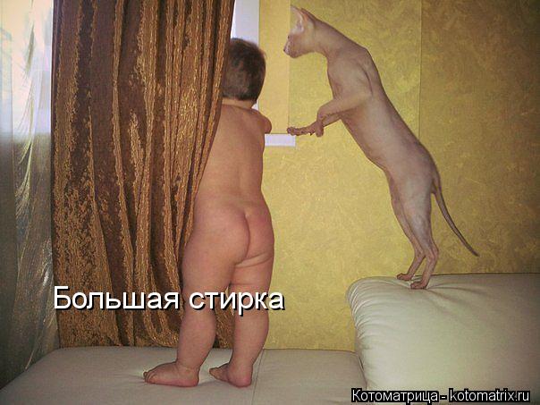 Большая стирка... Котоматрица: Большая стирка