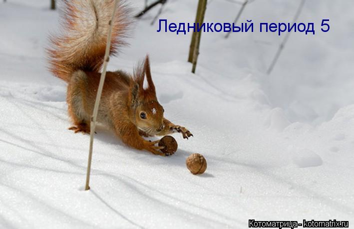 Ледниковый период 5... Котоматрица: Ледниковый период 5