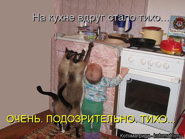 На кухне вдруг стало тихо... ОЧЕНЬ. ПОДОЗРИТЕЛЬНО. ТИХО...... Котоматрица: На кухне вдруг стало тихо... ОЧЕНЬ. ПОДОЗРИТЕЛЬНО. ТИХО...