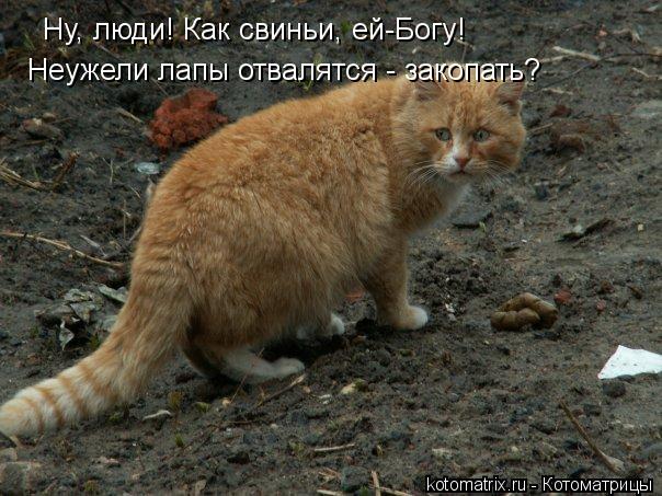 Ну, люди! Как свиньи, ей-Богу! Неужели лапы отвалятся - закопать?... Котоматрица: Ну, люди! Как свиньи, ей-Богу! Неужели лапы отвалятся - закопать?