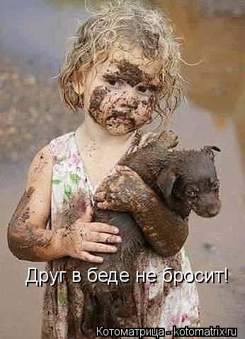 Друг в беде не бросит!... Котоматрица: Друг в беде не бросит!