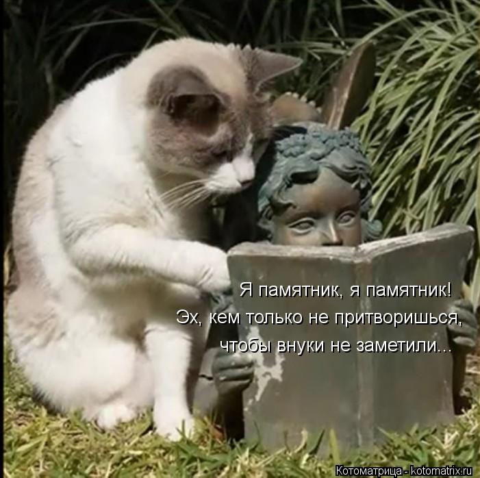 Я памятник, я памятник! Эх, кем только не притворишься, чтобы внуки не заметили...... Котоматрица: Я памятник, я памятник! Эх, кем только не притворишься, чтобы внуки не заметили...
