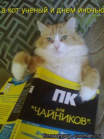 а кот ученый и днем иночью ........ Котоматрица: а кот ученый и днем иночью .....