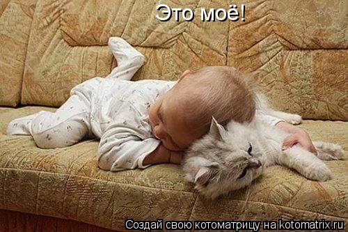 Это моё!... Котоматрица: Это моё!
