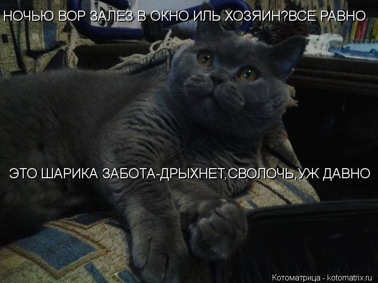 НОЧЬЮ ВОР ЗАЛЕЗ В ОКНО ИЛЬ ХОЗЯИН?ВСЕ РАВНО ЭТО ШАРИКА ЗАБОТА-ДРЫХНЕТ,СВОЛОЧЬ,УЖ ДАВНО... Котоматрица: НОЧЬЮ ВОР ЗАЛЕЗ В ОКНО ИЛЬ ХОЗЯИН?ВСЕ РАВНО ЭТО ШАРИКА ЗАБОТА-ДРЫХНЕТ,СВОЛОЧЬ,УЖ ДАВНО