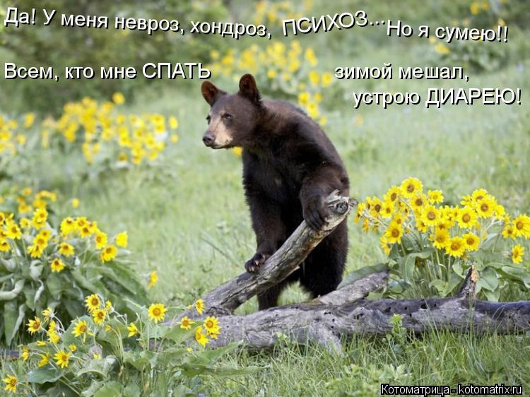 Котоматрица: Но я сумею!! Да! У меня невроз, хондроз,  ПСИХОЗ...  Всем, кто мне СПАТЬ                      зимой мешал,  устрою ДИАРЕЮ!
